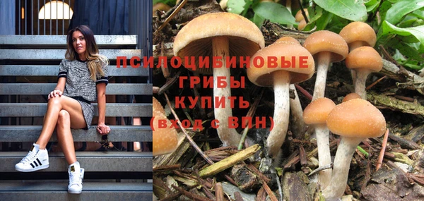 apvp Абдулино